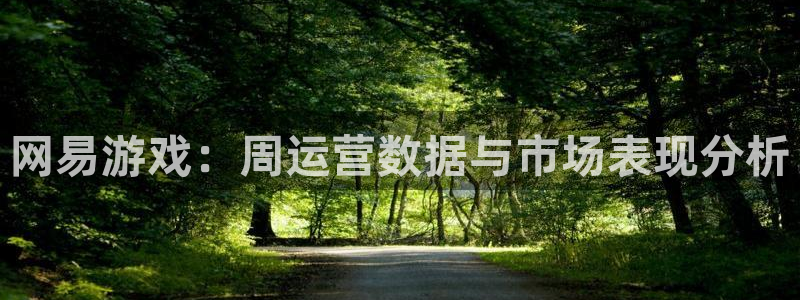 鼎点娱乐登陆地址：网易游戏：周运营数据与市场表现分析