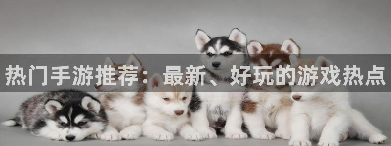 鼎点娱乐4招商：热门手游推荐：最新、好玩的游戏热点