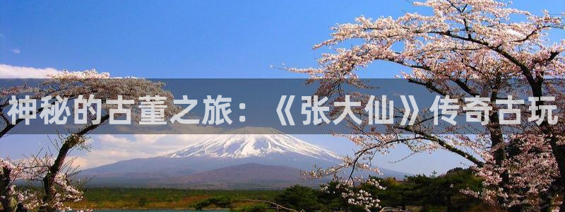 手机鼎点娱乐下载安装：神秘的古董之旅：《张大仙》传奇古玩
