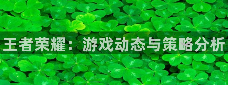 鼎点娱乐：王者荣耀：游戏动态与策略分析