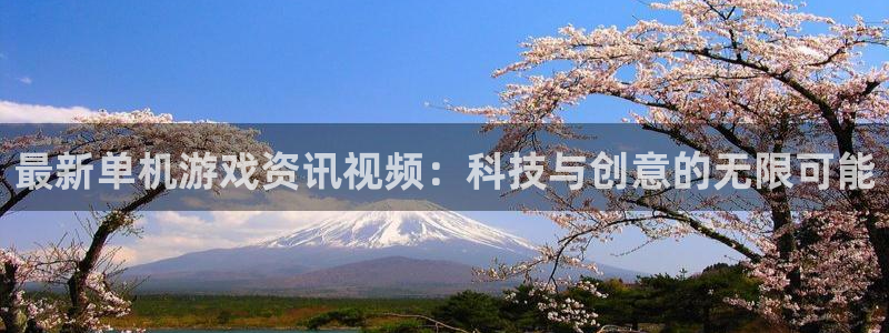 鼎点娱乐登陆：最新单机游戏资讯视频：科技与创意的无限可能