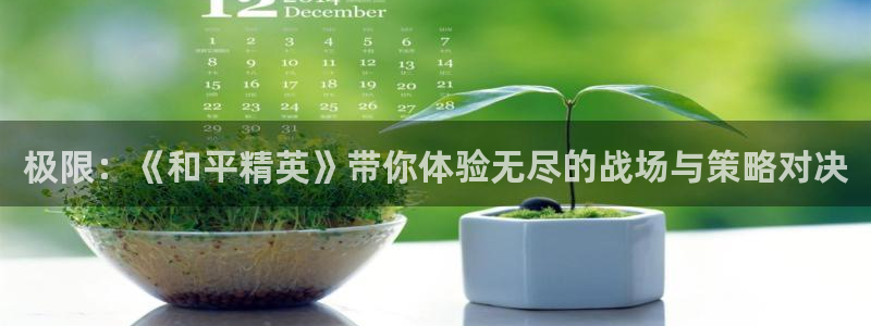 鼎点娱乐测速登陆：极限：《和平精英》带你体验无尽的战场与策略