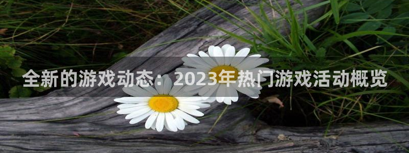 鼎点娱乐登陆：全新的游戏动态：2023年热门游戏活动概览