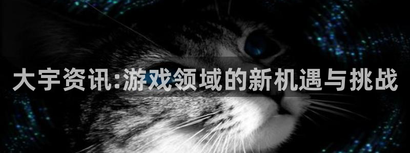 鼎点娱乐线路测试：大宇资讯:游戏领域的新机遇与挑战