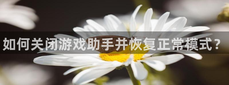 鼎点娱乐注册账号：如何关闭游戏助手并恢复正常模式？