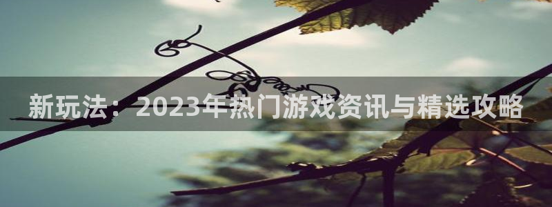 鼎点娱乐什么意思：新玩法：2023年热门游戏资讯与精选攻略