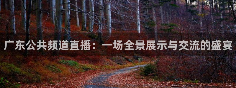 河豚直播在线看球：广东公共频道直播：一场全景展示与交流的盛宴