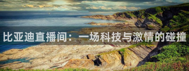 河豚直播：比亚迪直播间：一场科技与激情的碰撞