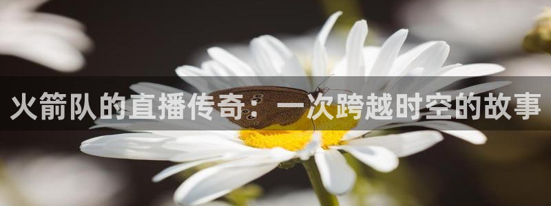 nba直播河豚：火箭队的直播传奇：一次跨越时空的故事