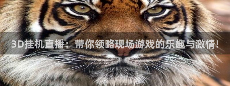 河豚足球直播网：3D挂机直播：带你领略现场游戏的乐趣与激情!