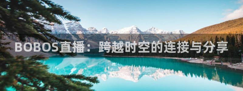 河豚直播：BOBOS直播：跨越时空的连接与分享