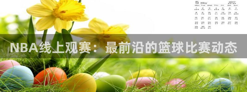 河豚的：NBA线上观赛：最前沿的篮球比赛动态