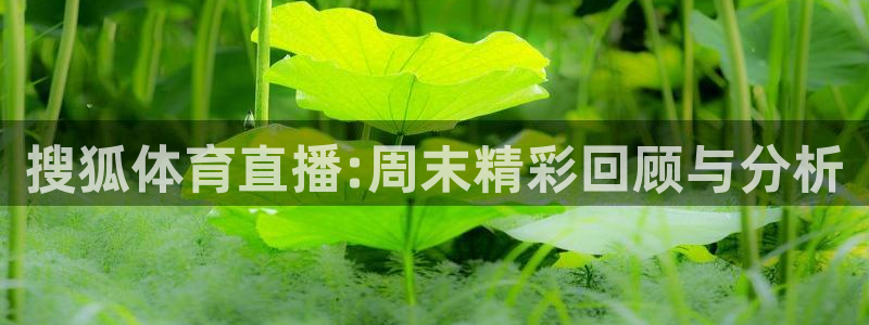 河豚体育直播官网：搜狐体育直播:周末精彩回顾与分析