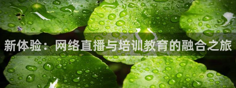 河豚nba直播：新体验：网络直播与培训教育的融合之旅