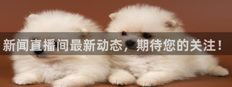 河豚体育nba直播：新闻直播间最新动态，期待您的关注！