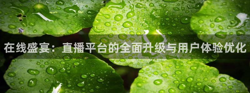 河豚体育直播看球app：在线盛宴：直播平台的全面升级与用户体验优化