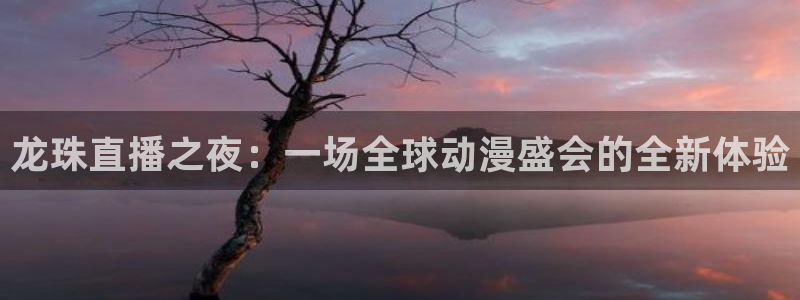 河豚体育直播网：龙珠直播之夜：一场全球动漫盛会的全新体验