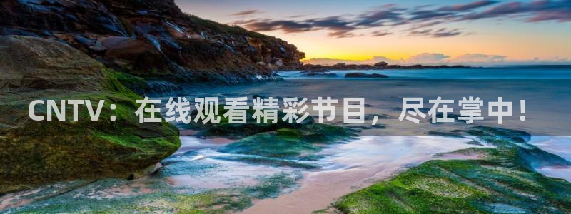 河豚体育直播在线播放：CNTV：在线观看精彩节目，尽在掌中！