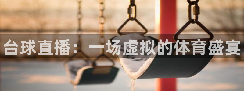 河豚体育直播app下载：台球直播：一场虚拟的体育盛宴
